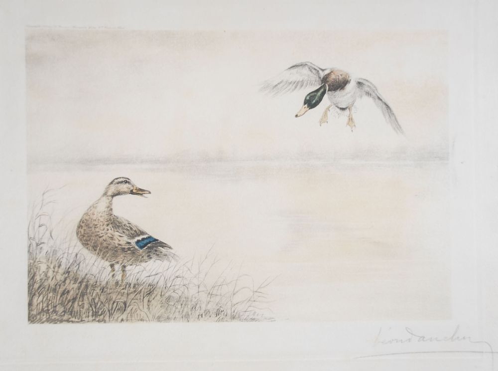 エッチング Danchin - 05 Canards se posant - Two Ducks landing (Original)