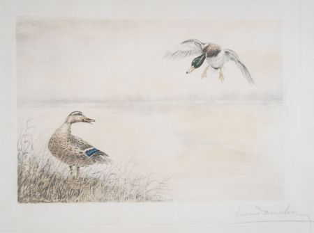 エッチング Danchin - 05 Canards se posant - Two Ducks landing (Original)