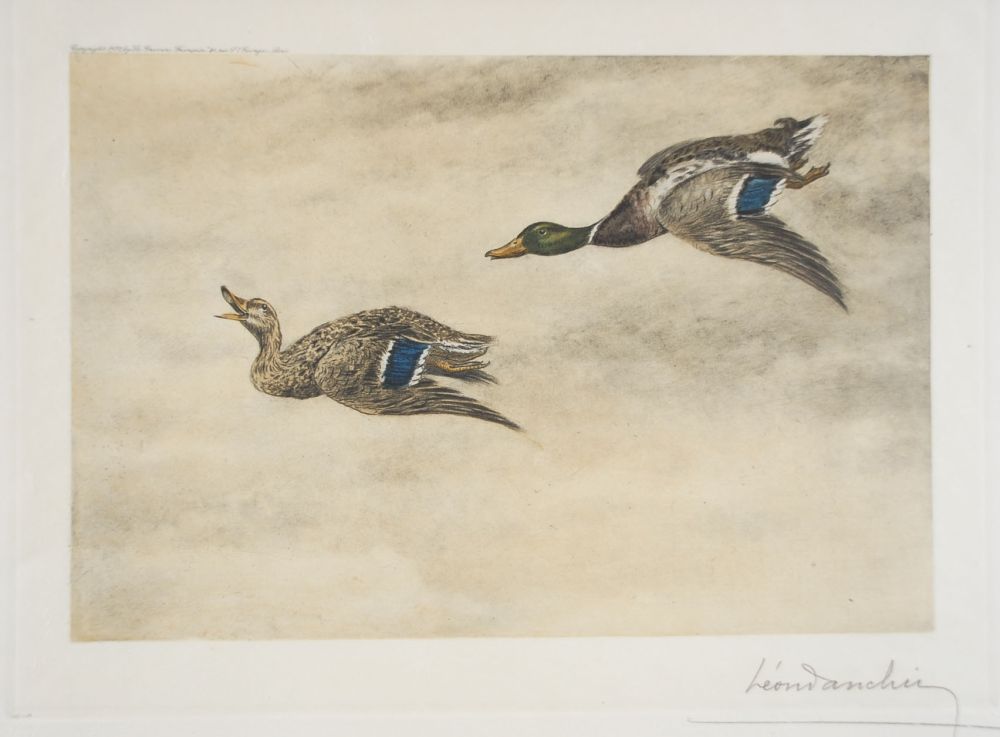 エッチング Danchin - 06 Canards de passage - Two passing Ducks (Original)