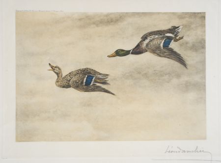 エッチング Danchin - 06 Canards de passage - Two passing Ducks (Original)