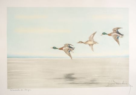 エッチング Danchin - 12 Canards au large - Three Ducks flying (Original)