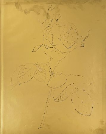 リトグラフ Warhol - A Gold Book