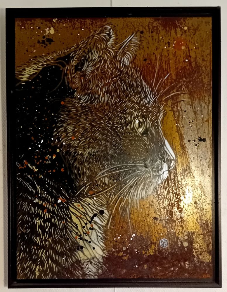 ステンシル C215 - ACRYLIQUE SUR ACIER