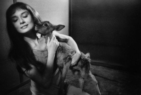 写真 Willoughby - Audrey Hepburn and deer