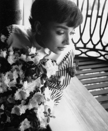 写真 Willoughby - Audrey Hepburn window
