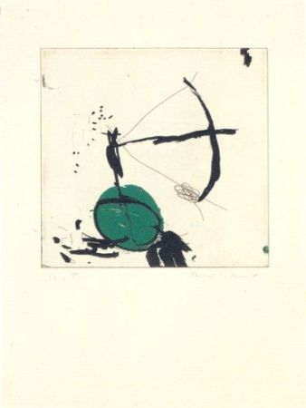 彫版 Riera I Aragó - Avió petit roda verda