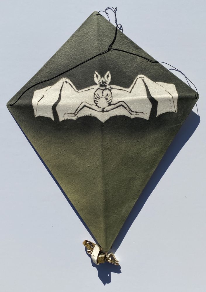 技術的なありません Toledo - Bat on Green Background Kite