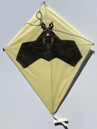 技術的なありません Toledo - Bat on Yellow Background Kite