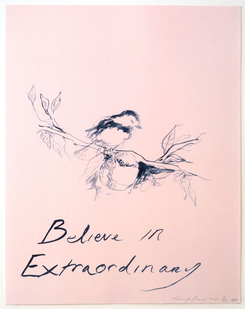 リトグラフ Emin - Believe in Extraordinary