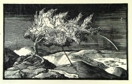 木版 Schönleber - Blütenbaum im Donautal (Flowering tree in the Danube valley)