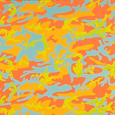 シルクスクリーン Warhol - Camouflage 413 by Andy Warhol