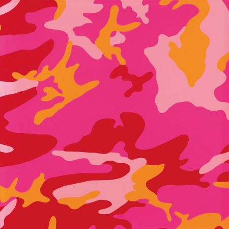 シルクスクリーン Warhol - Camouflage FS II.408