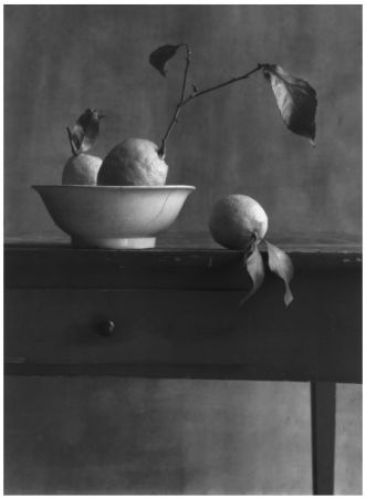 写真 Anonyme - COIGNY Christian (1946).  Nature morte aux citrons
