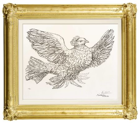 リトグラフ Picasso - Colombe Volant (Flying Dove)