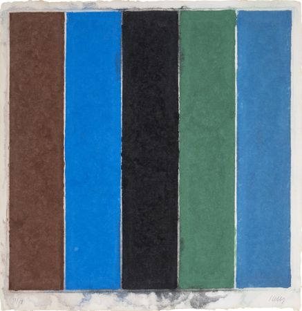技術的なありません Kelly - Colored Paper Image XIX (Brown Blue Black Green Violet)