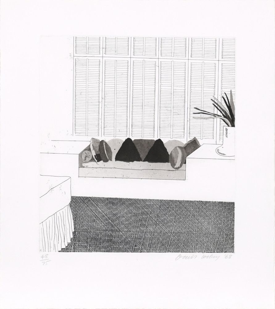 エッチングと　アクチアント Hockney - Cushions