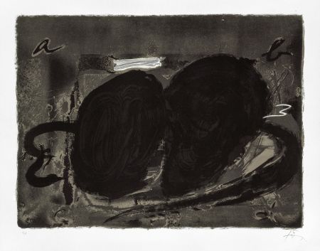 リトグラフ Tàpies - Deux trous 