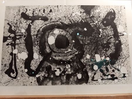 挿絵入り本 Miró - DLM 121 122