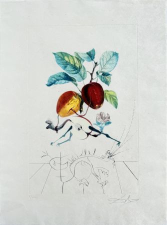 リトグラフ Dali - Dragon Apple from Flordali suite