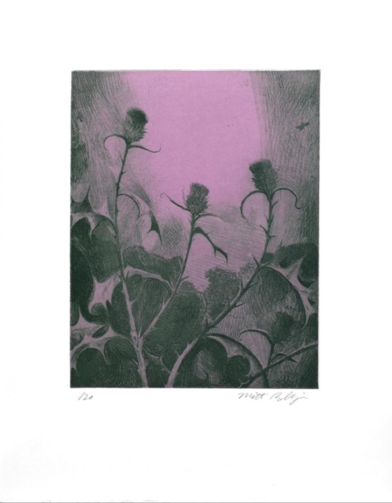 彫版 Bollinger - Dusk Thistle