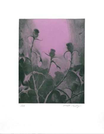 彫版 Bollinger - Dusk Thistle