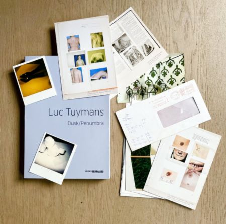 多数の Tuymans - Dusk/Penumbra (book)