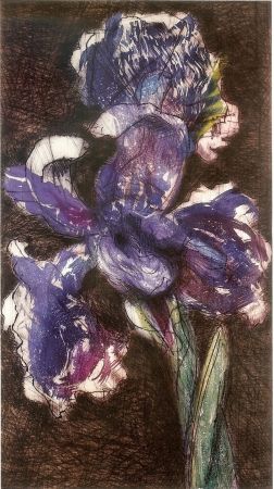 リトグラフ Kentridge - Dutch Iris II