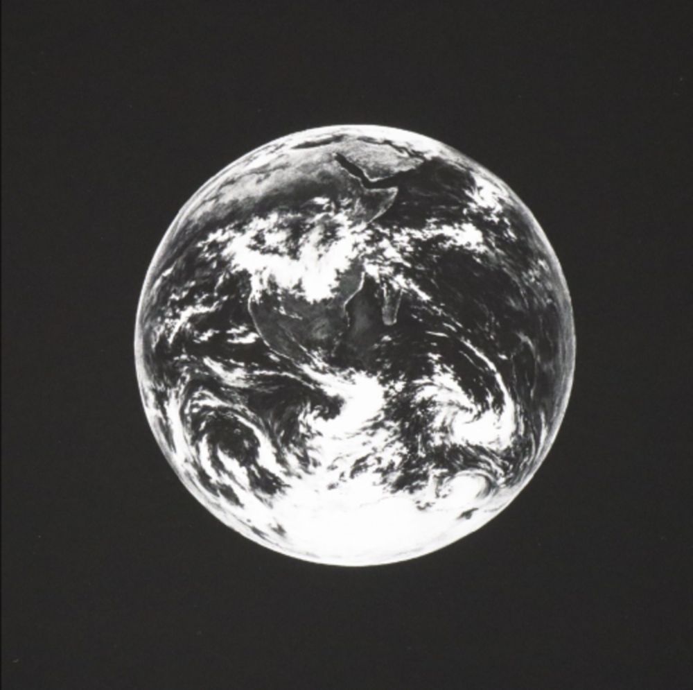 多数の Longo - Earth