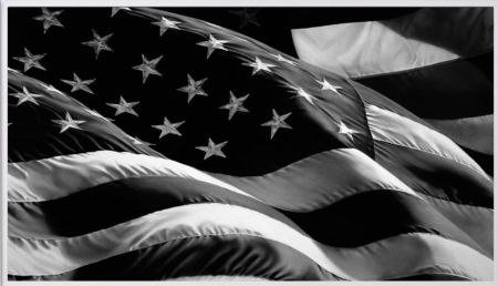 多数の Longo - Flag (Old Glory)
