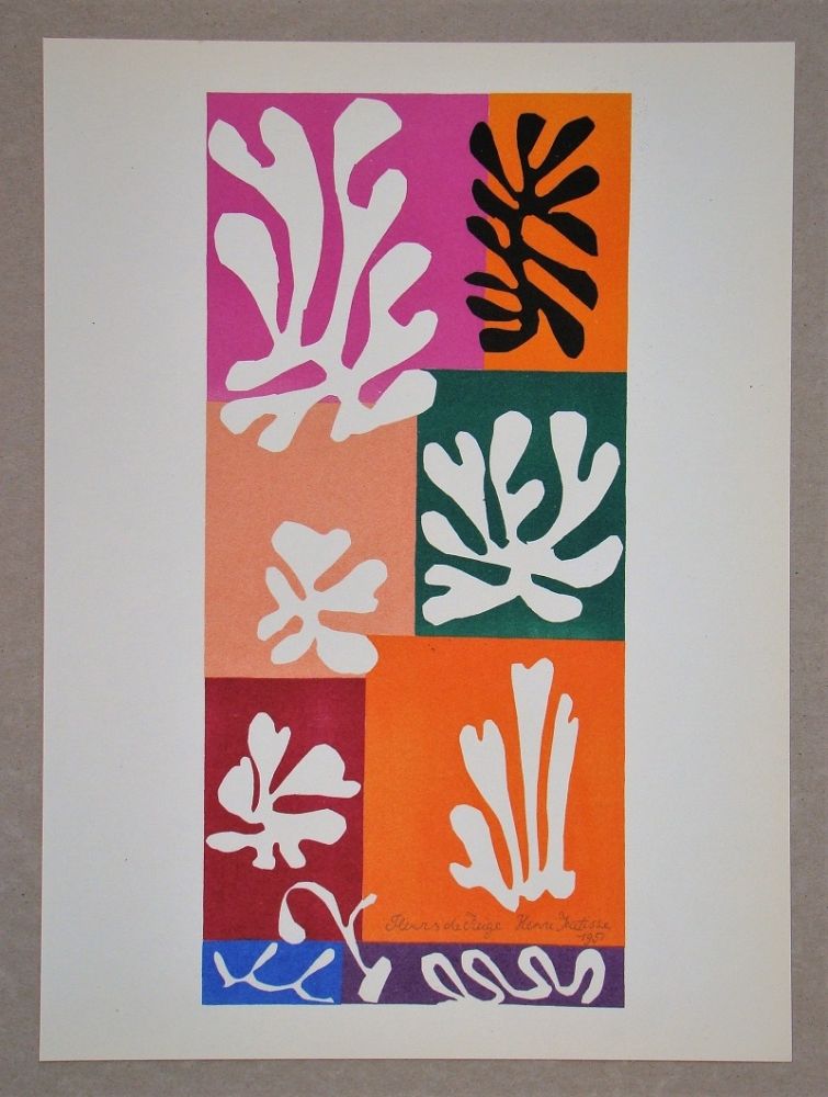 リトグラフ Matisse (After) - Fleur De Neige - 1951