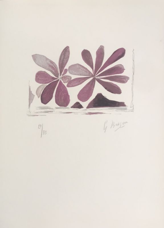 リトグラフ Braque - Fleurs de l'air 