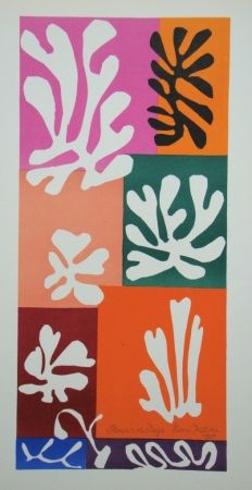 リトグラフ Matisse - Fleurs De Neige
