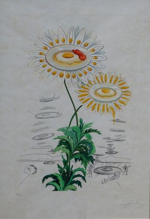 彫版 Dali - Flora Dalinae Chrysanthemum