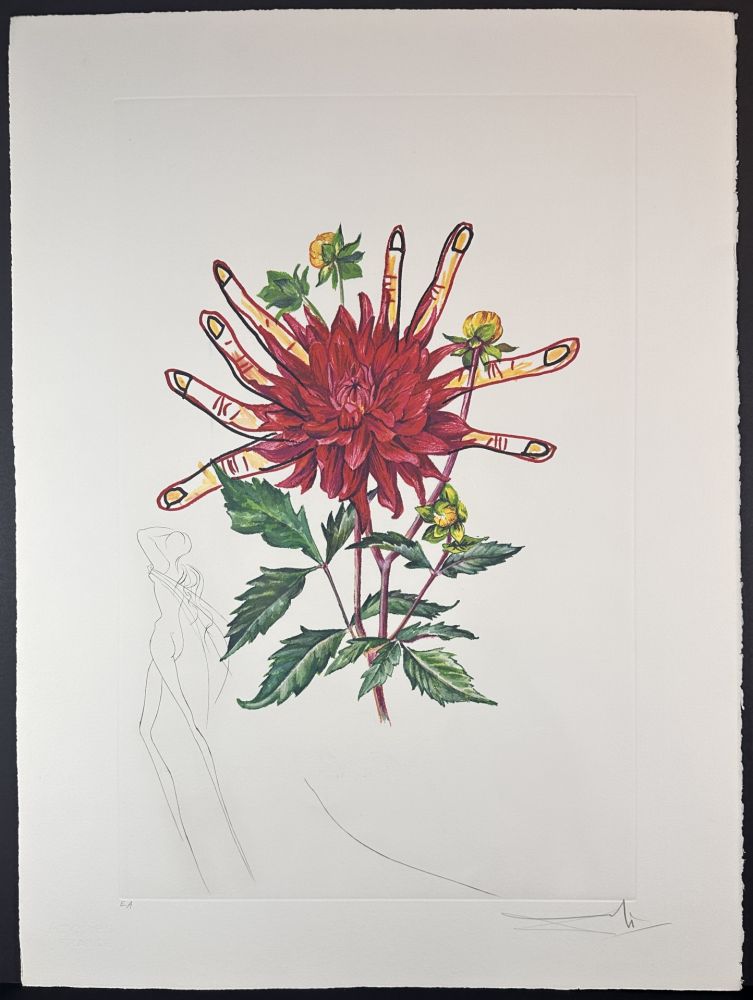 彫版 Dali - Florals Dahlia (+ Fingers) Venus
