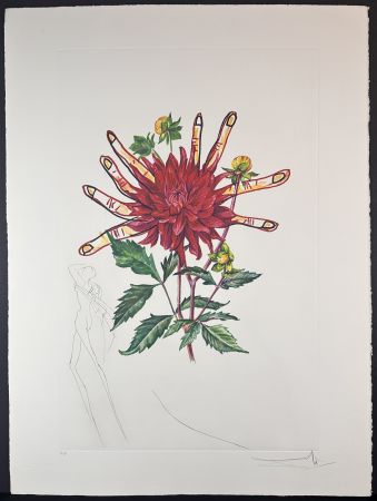 彫版 Dali - Florals Dahlia (+ Fingers) Venus