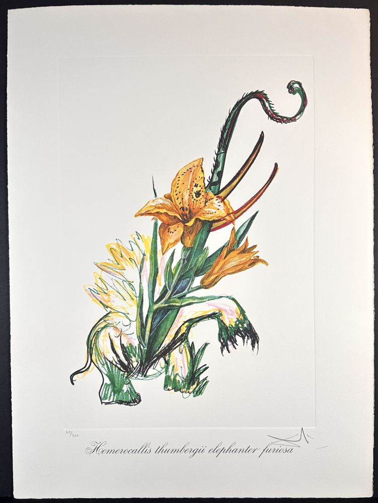 彫版 Dali - Florals Elephant Lily