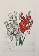 リトグラフ Dali -  Florals; Gladiolus [ + EARS ] Custa Brava 1972