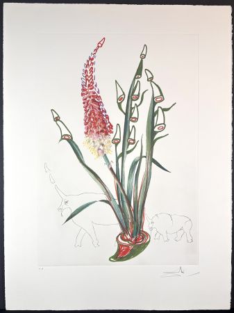 彫版 Dali - Florals Stock Rhinos