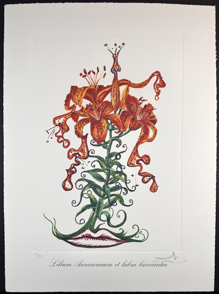 彫版 Dali - Florals Tiger Lilies of The Theatre