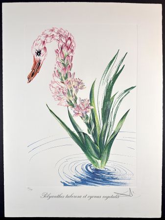 彫版 Dali - Florals Water-Hybiscus Swan
