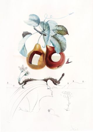 彫版 Dali - Flordali - Fruits Troués