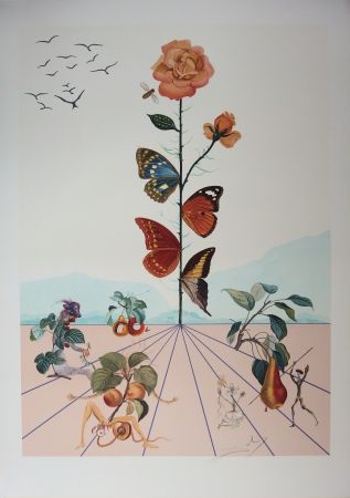 リトグラフ Dali - Flordali II - La rose papillon