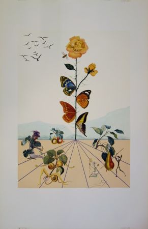 リトグラフ Dali - Flordali II - La rose papillon