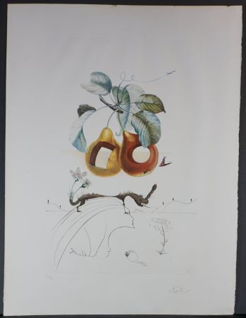 彫版 Dali - FlorDali/Le Fruits Fruit With Holes
