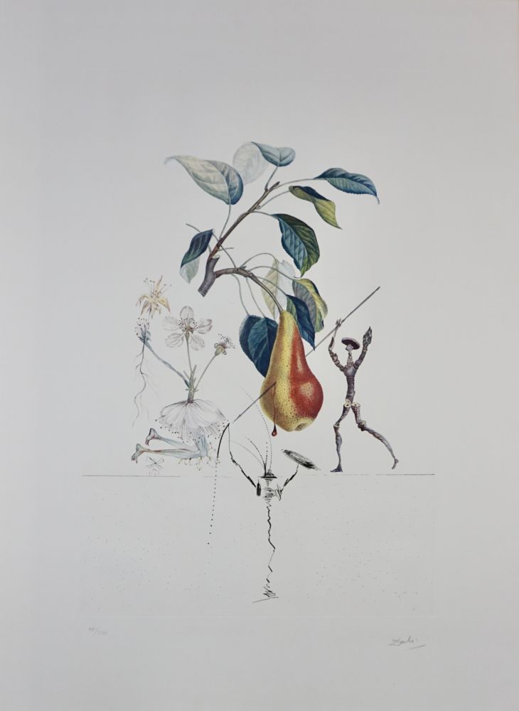 彫版 Dali - FlorDali/Les Fruits Pear