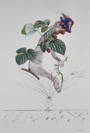 彫版 Dali - FlorDali/Les Fruits Raspberry