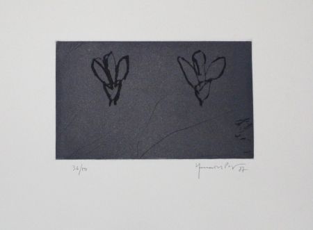エッチングと　アクチアント Hernandez Pijuan - Flors sobre gris / Flowers on Gray