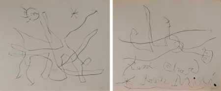 ポイントーセッシュ Miró - Flux de l'aimant