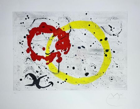 エッチングと　アクチアント Miró - FOND MARIN