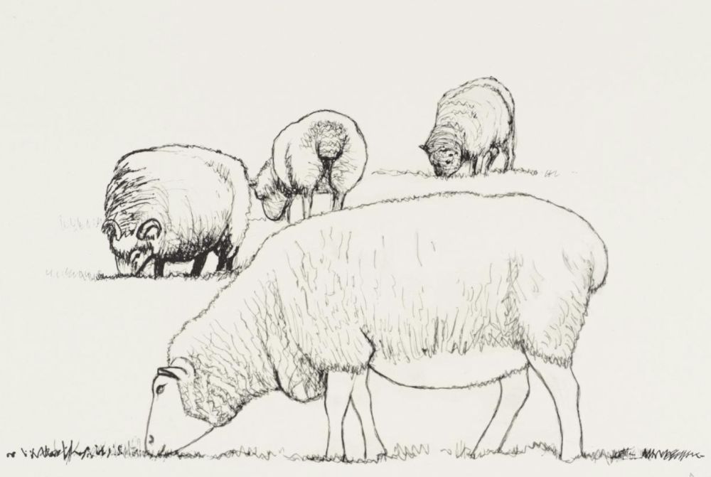 リトグラフ Moore - Four Sheep Grazing